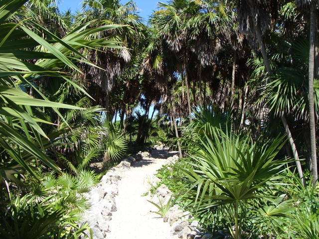 Path to the beach