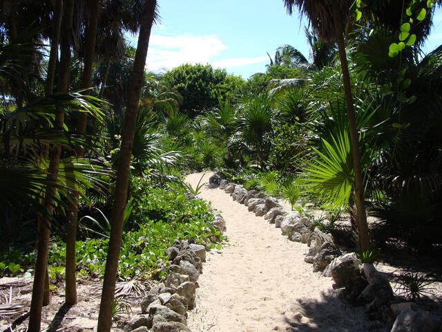 Path to the beach